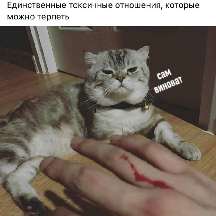  !