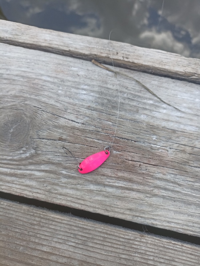 Моя первая форелька Форель, Рыбалка, Спиннинг, Длиннопост