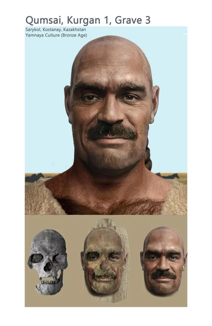 Reconstruction of the appearance of the leader of the Yamnaya culture - Archeology, Anthropological reconstruction, Scull, Yamnaya culture, Mound, Longpost