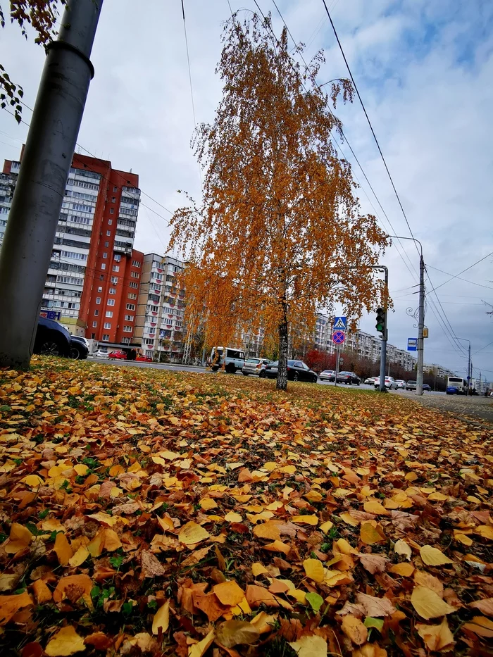 Autumn - My, Autumn, The photo, Foliage, Leaves