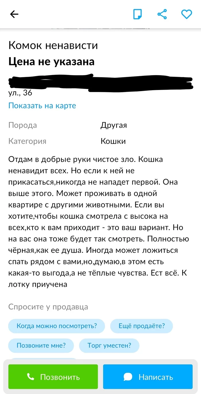 Отдаю комок ненависти - Объявление на авито, Юмор, Домашние животные, Длиннопост, Кот