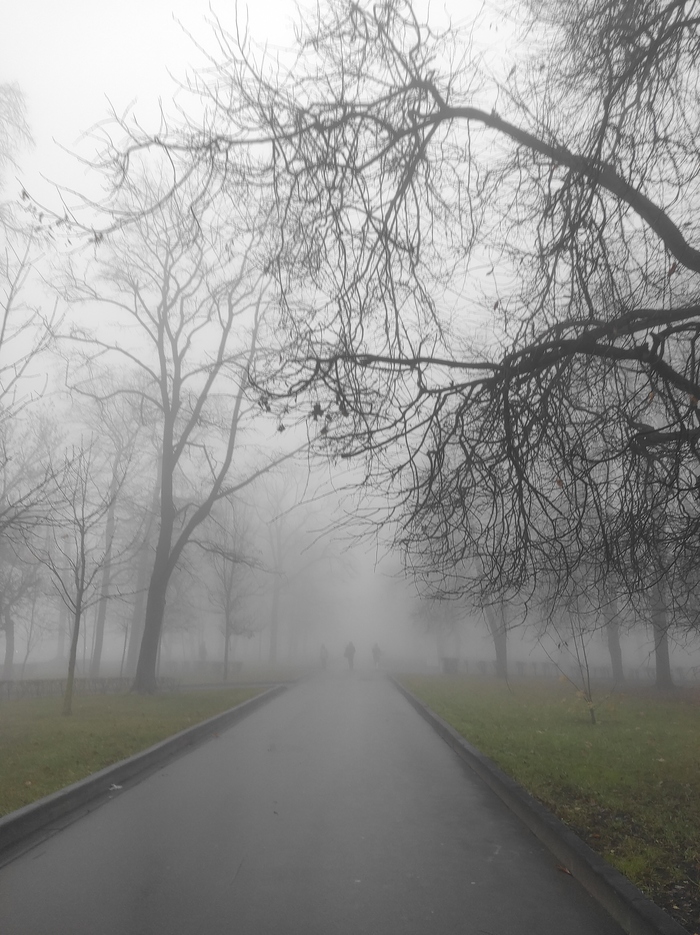 Сюрприз под конец года