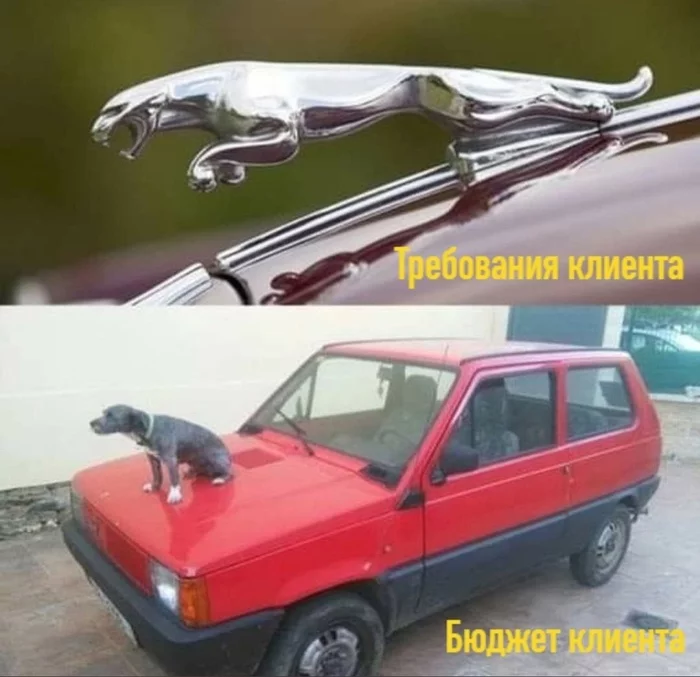 Хм... - IT юмор, IT, Бюджет, Авто, Собака, Jaguar