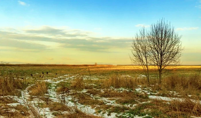 Early winter - My, Middle Ural, The winter is coming, Field, Perspective, Snow, Landscape, The photo