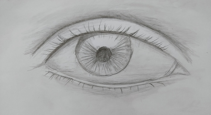 ������ ����