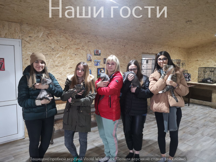 удивительное поражение мозга мем