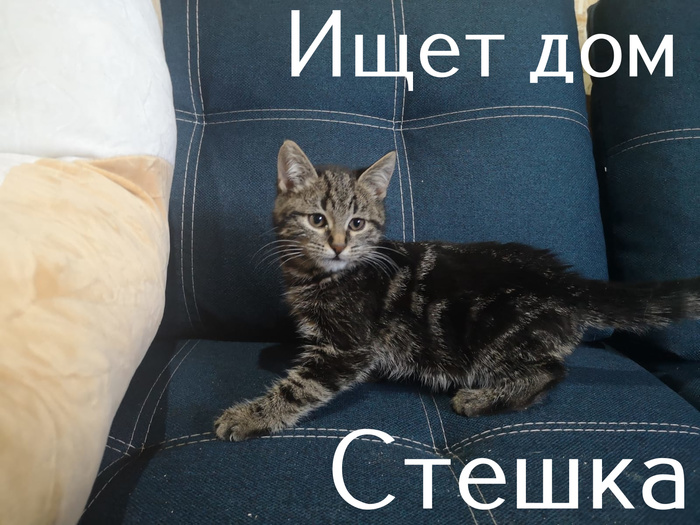 удивительное поражение мозга мем