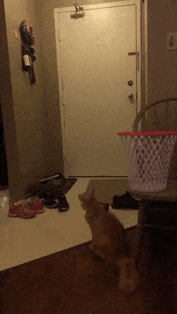     , , , 