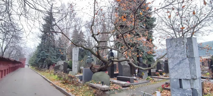 Novodeviche - My, Prominent figures, Cemetery, Longpost, The photo