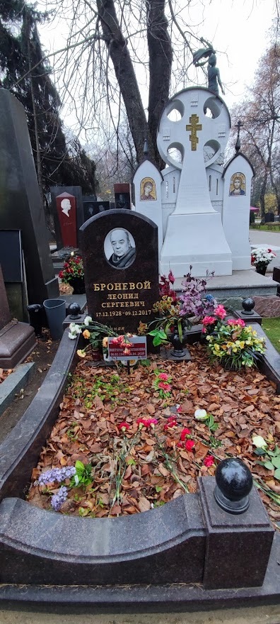 Novodeviche - My, Prominent figures, Cemetery, Longpost, The photo