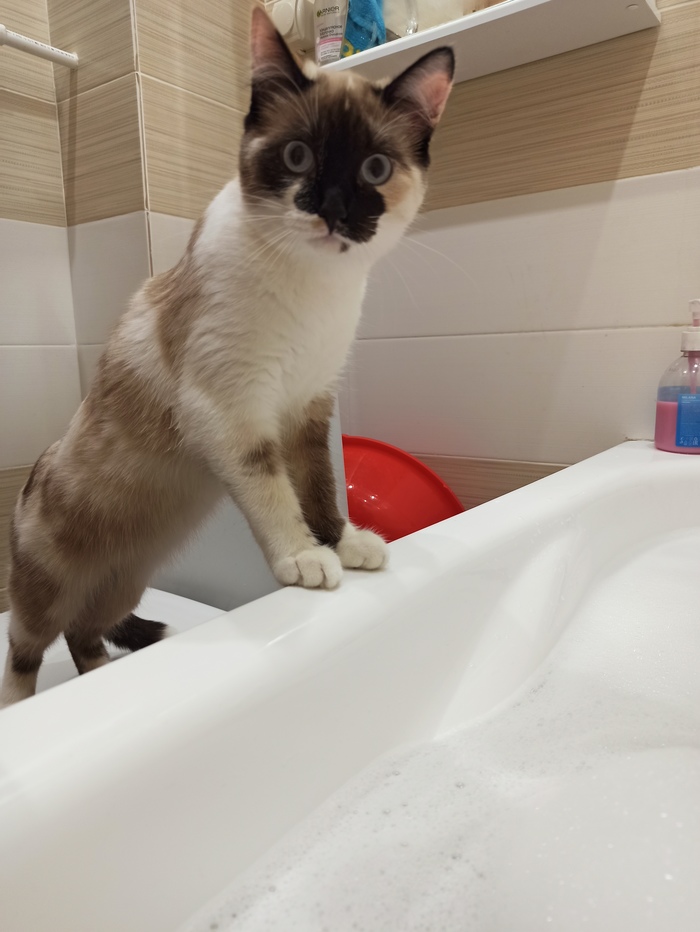 Мать, ты там не тонешь случайно?