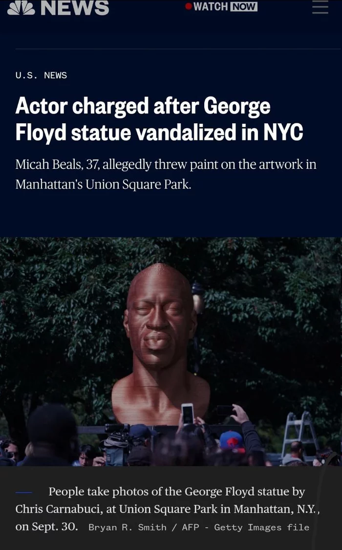 Insulting the feelings of the liberal public - Death of George Floyd, Vandalism, Prison, Black lives matter