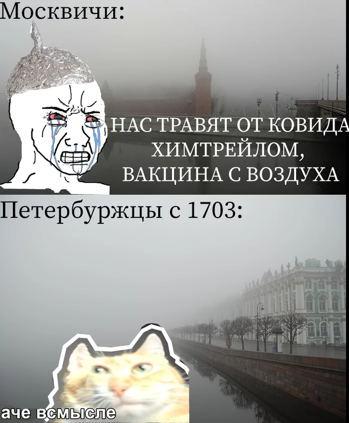 Ох уж этот туман - Моё, Туман, Санкт-Петербург, Болото, Москва, Антипрививочники, Теория заговора, Мемы, Юмор, Кот