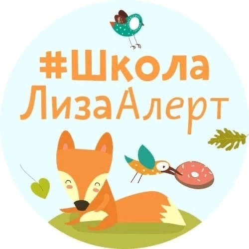We ask you to support the project with your voice - Parents, Teenagers, Parents and children, Volunteers, Safety, Longpost, Children, Bashkortostan, Lisa Alert, No rating, My