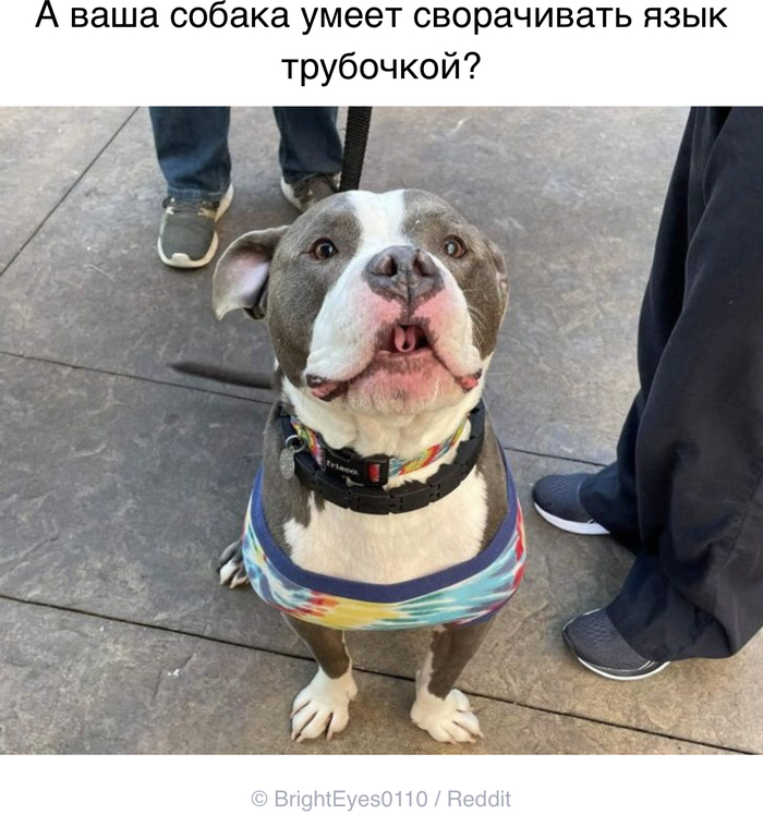 желаю всем найти такого человека который будет смотреть на вас так же. Смотреть фото желаю всем найти такого человека который будет смотреть на вас так же. Смотреть картинку желаю всем найти такого человека который будет смотреть на вас так же. Картинка про желаю всем найти такого человека который будет смотреть на вас так же. Фото желаю всем найти такого человека который будет смотреть на вас так же