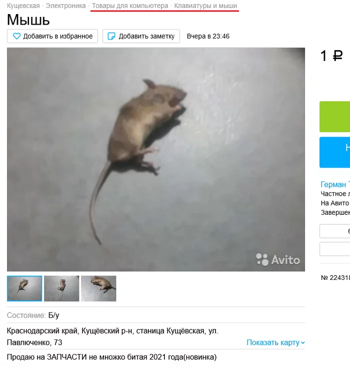 New. Mouse for PC - PC mouse, Mouse, Killing an animal, Offal