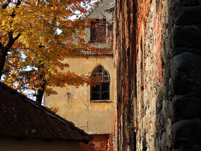 Old window of Insterburg castle - My, The photo, Chernyakhovsk, Kaliningrad, Kaliningrad region, Lock, Ruin, Nikon, Autumn, Locks, Window, Insterburg, Insterburg Castle