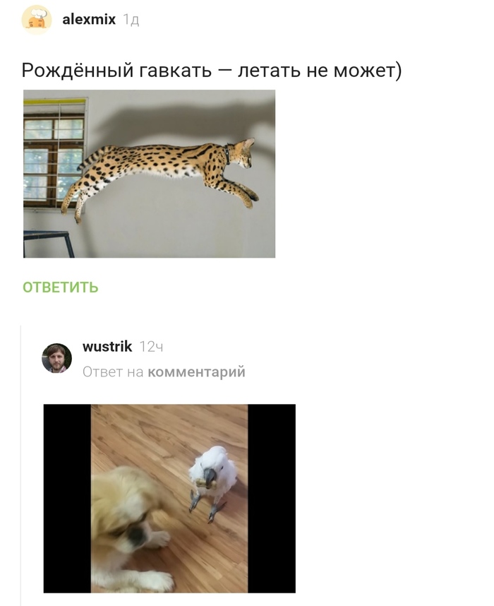 ������� ���������