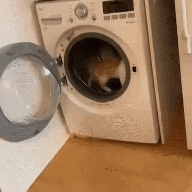      , , , 
