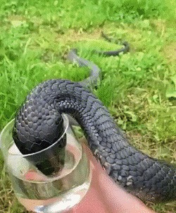   , , , 