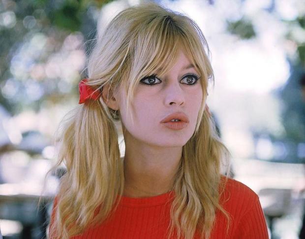 French movie star fined for racism - news, Racism, Brigitte Bardot, Punishment, Cruelty to animals
