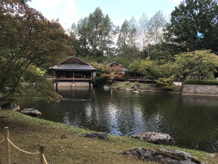 Japanese garden in Hasselt, Belgium - My, Belgium, The park, Mobile photography, Longpost