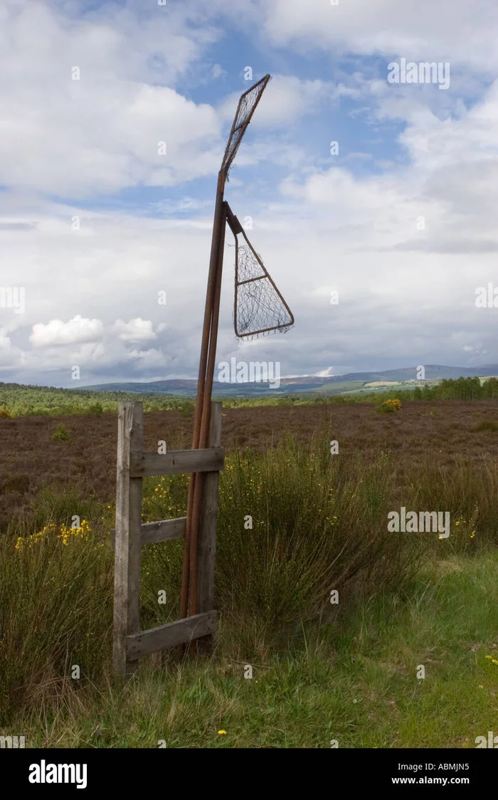 Что это за штука - 142 Перевел сам, Reddit, WhatIsThisThing, Видео, Длиннопост Что это за штука - 142 Перевел сам, Reddit, WhatIsThisThing, Видео, Длиннопост