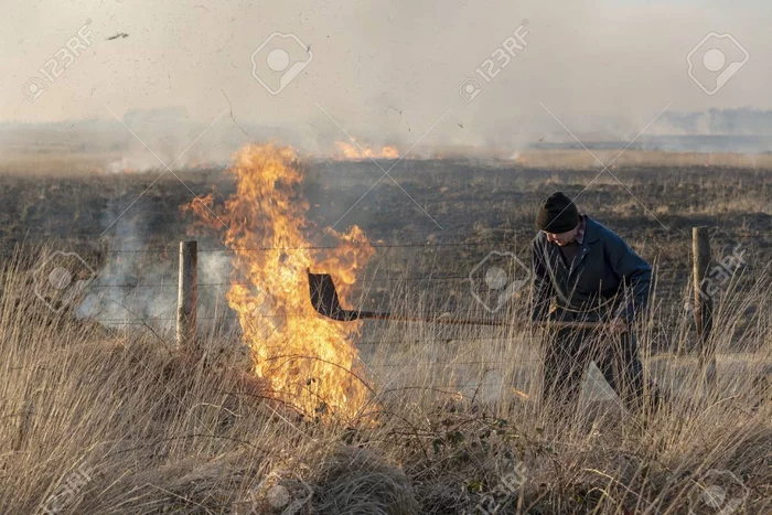 Что это за штука - 142 Перевел сам, Reddit, WhatIsThisThing, Видео, Длиннопост Что это за штука - 142 Перевел сам, Reddit, WhatIsThisThing, Видео, Длиннопост