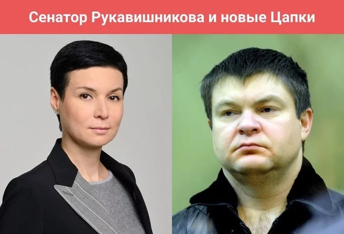Dirty games of senators: how senator Afanasyeva set herself up before Bastrykin because of help to senator Rukavishnikova - , Senator, Concern Pokrovsky, Politics, Negative, Longpost