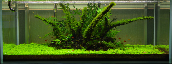 Композиция созрела, да здраствует новая композиция!