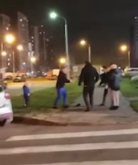 Один из напавших на мужчину с ребёнком в Новой Москве ударил малыша по щеке Новые ватутинки, Мигранты, Негатив, Новая Москва