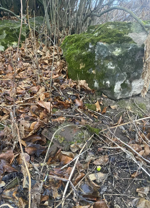 I found a large, metal object in the roots of an old tree. With difficulty, but pulled it out - My, Search, Scrap metal, Yandex Zen, Earnings, Hobby, Longpost