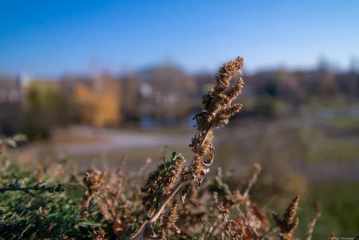 Walk around the neighborhood - My, Nature, Architecture, Bokeh, Sumy, Longpost