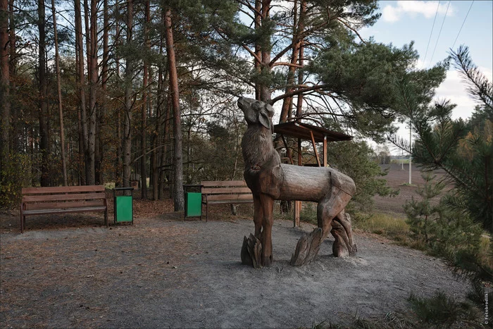 Photo walks: ecological trail Belokorets, Belarus - My, Photobritish, Travels, Republic of Belarus, Nature, Wood sculpture, sights, The photo, Longpost