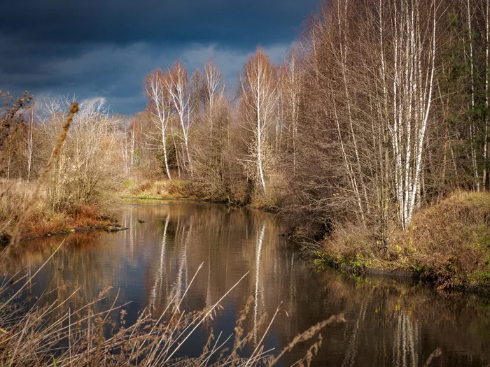 On the bank of Pekhorka - My, The photo, River, Pekhorka