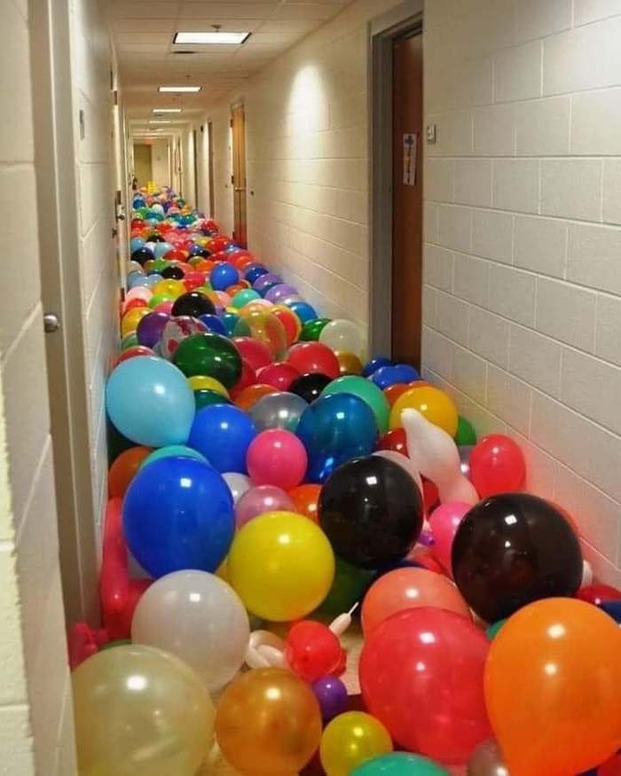 ��� ����� �������