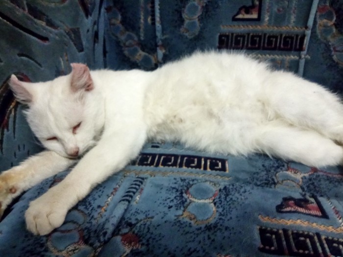 ������� ������