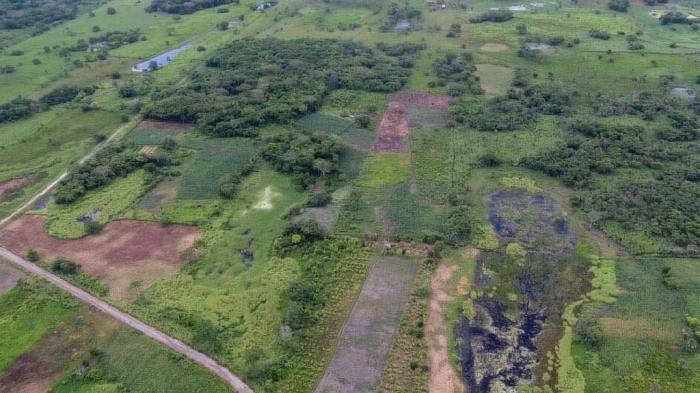 3,000-year-old Mesoamerican monuments discovered in Mexico - Mexico, Excavations, Longpost