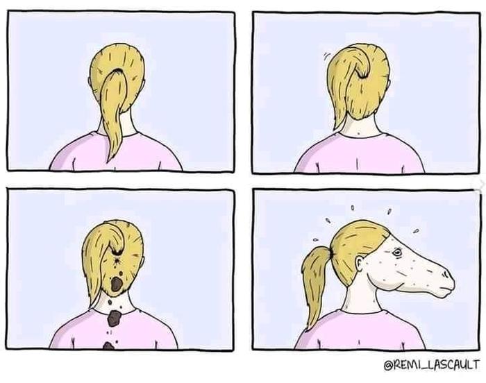 Ponytail