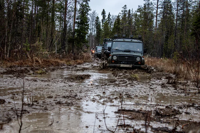Jeepers in the northern swamps - My, Offroad, Trophy-Raid, Longpost