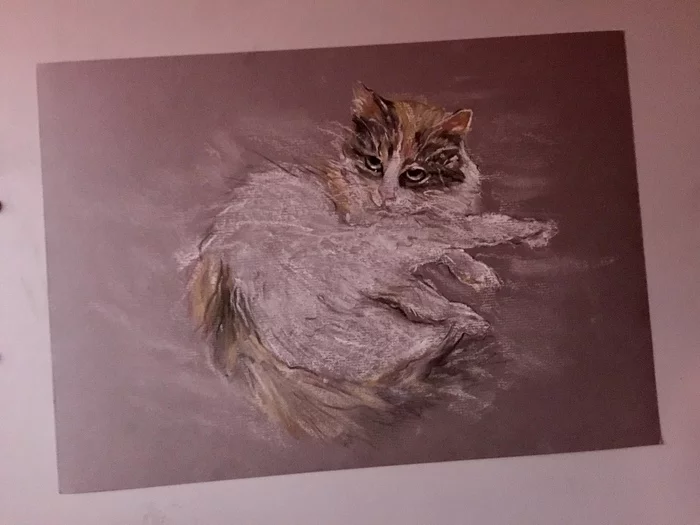 A 4 format in crayons - My, Pets, cat, Big cats, Paper, Colour pencils, Art, Drawing, Longpost