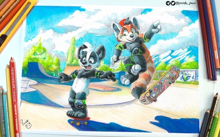 skaters - Furry, Paco Panda, Furry Panda, Furry red panda, Skate, Traditional art, Colour pencils, Art