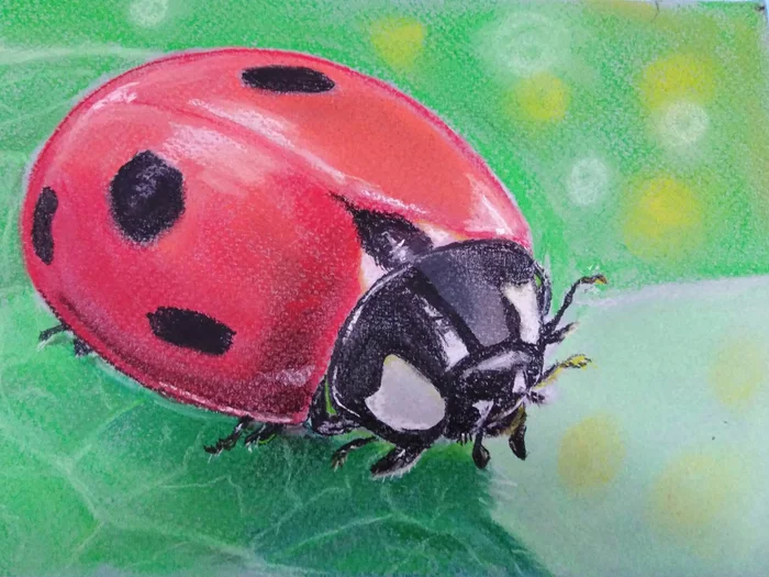 Ladybug. - My, Pastel, ladybug, Dry pastel, Drawing