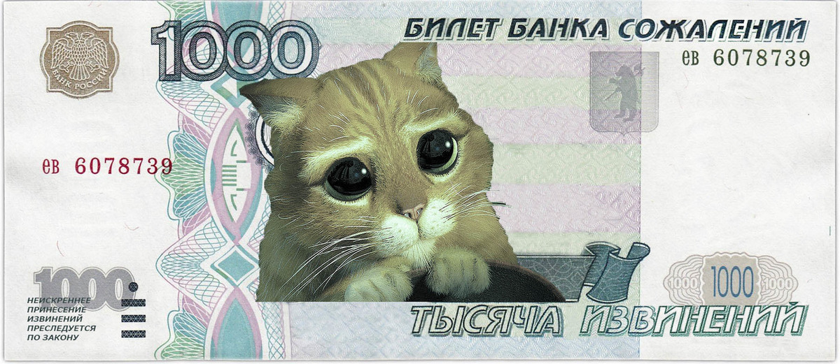1000 извинений. 1000 Извинений купюра. Банкнота с котом. Купюра прикол. Деньги с изображением кошки.