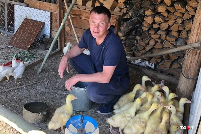 Continuation of the post Continuation of the post Gnawed 50 geese in five minutes: a Chelyabinsk hunter who shot a husky told his version - Negative, Dog, Husky, Breeders, Hunting, Разборки, Chelyabinsk, Reply to post, Longpost