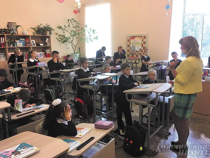 How much does the health of 1 student cost? The cost of equipping classes in Gatchina - Education, Leningrad region, Gatchina, Health, School, Deputies, Education, Longpost