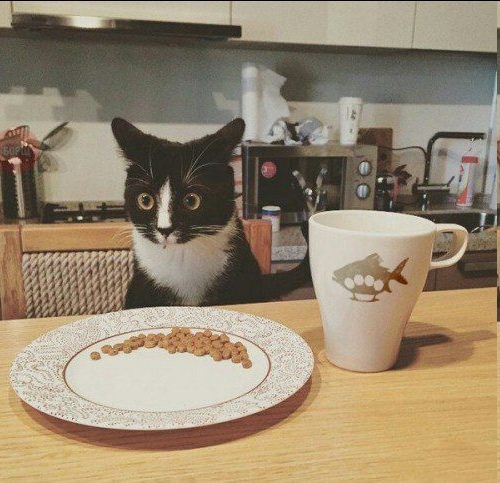 � ����� ����-�� �����...