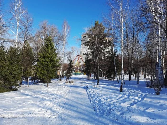 Snowy November... - Longpost, Snow, Photographer, The park, Nature, My, Russia, Novosibirsk, Autumn