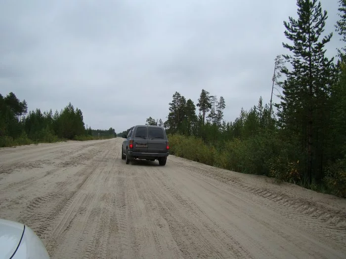 Diving in taiga - My, Diving, Taiga, Khanty-Mansiysk, Lake, Forest, Immersion, Video, Longpost