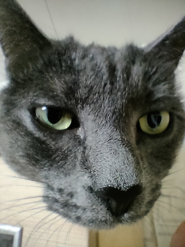 &quot;&quot;  ...)))